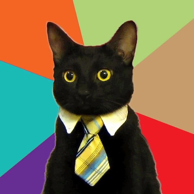 Business Cat wearing a white collar and striped tie